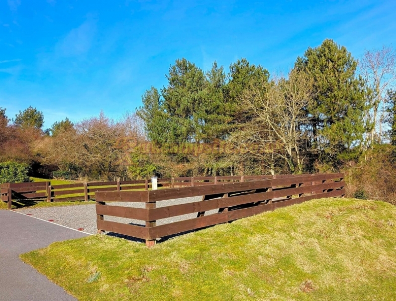 Moor Wood Campsite
