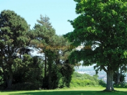 Moor Wood Campsite