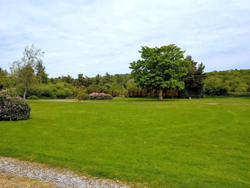 Moor Wood Campsite