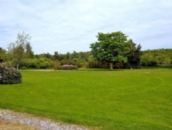 Moor Wood Campsite
