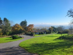 Moor Wood Campsite