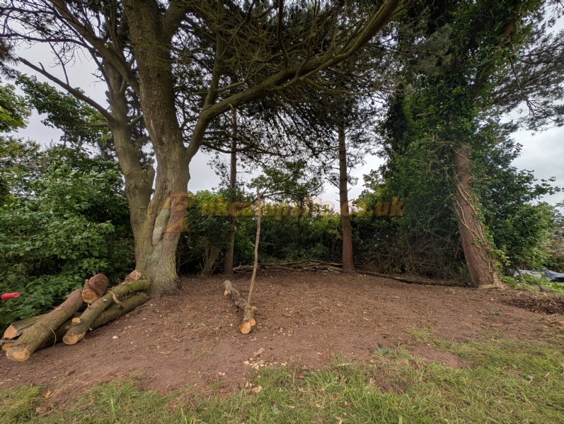 Moor Wood Campsite