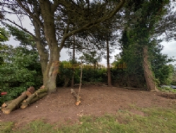 Moor Wood Campsite