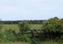 Tewart Arms Cottage Camping and Caravan Site