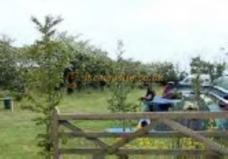 Tewart Arms Cottage Camping and Caravan Site