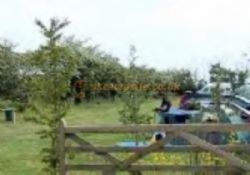 Tewart Arms Cottage Camping and Caravan Site