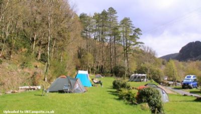 Silver Birches Campsite ( Snowdonia )