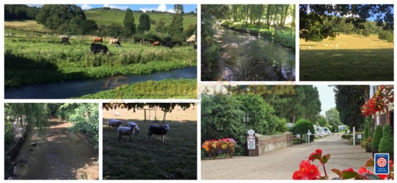 Overbrook Caravan Park Adults Only