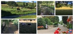 Overbrook Caravan Park Adults Only