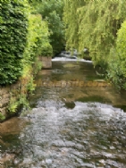 Overbrook Caravan Park Adults Only