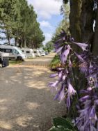 Overbrook Caravan Park Adults Only