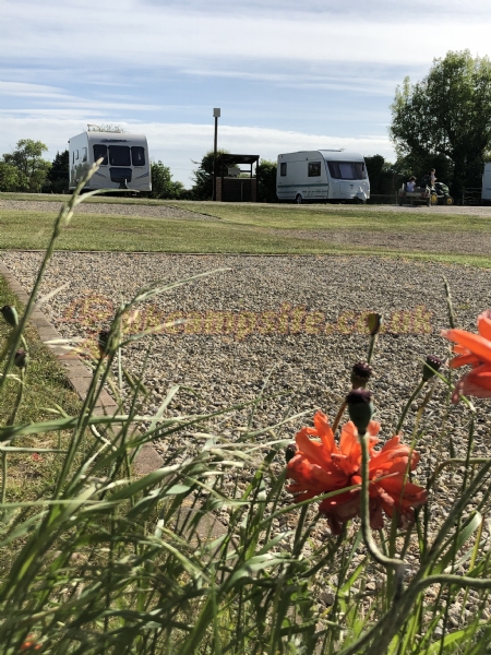 Overbrook Caravan Park Adults Only