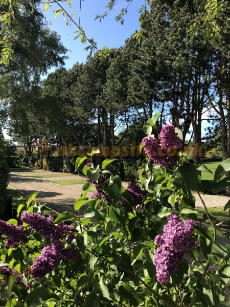 Overbrook Caravan Park Adults Only
