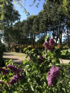 Overbrook Caravan Park Adults Only