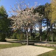 Overbrook Caravan Park Adults Only