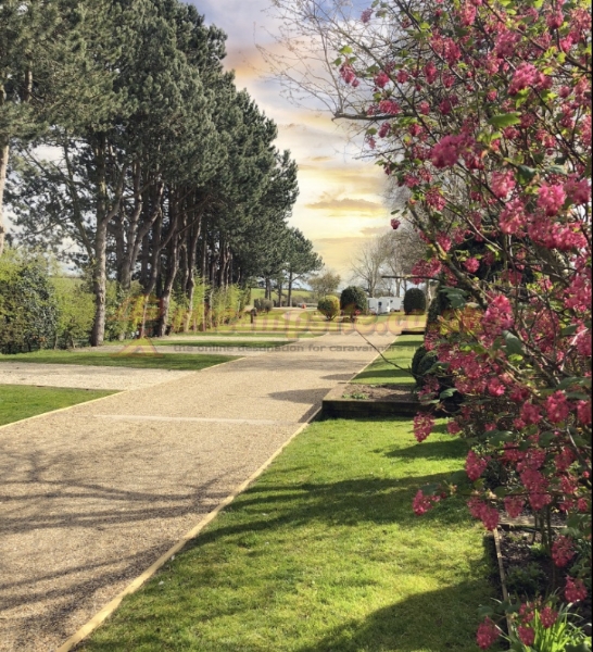Overbrook Caravan Park Adults Only