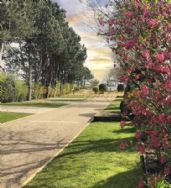 Overbrook Caravan Park Adults Only