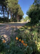 Overbrook Caravan Park Adults Only