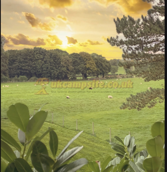 Overbrook Caravan Park Adults Only