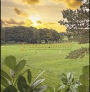 Overbrook Caravan Park Adults Only