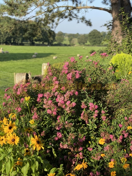 Overbrook Caravan Park Adults Only