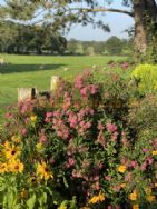 Overbrook Caravan Park Adults Only