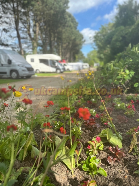 Overbrook Caravan Park Adults Only
