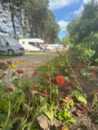Overbrook Caravan Park Adults Only