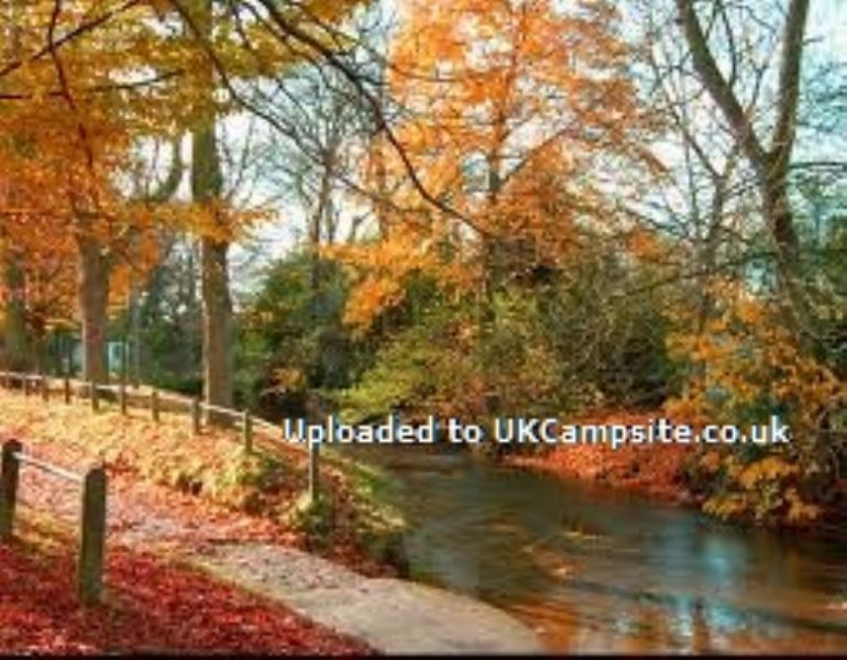 Overbrook Caravan Park Adults Only