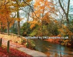 Overbrook Caravan Park Adults Only
