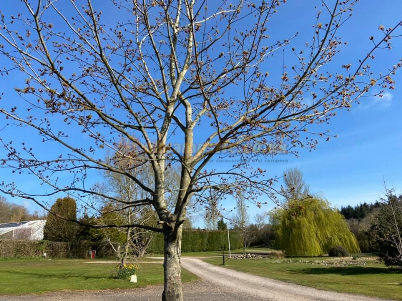 Haywood Farm Caravan And Camping Park
