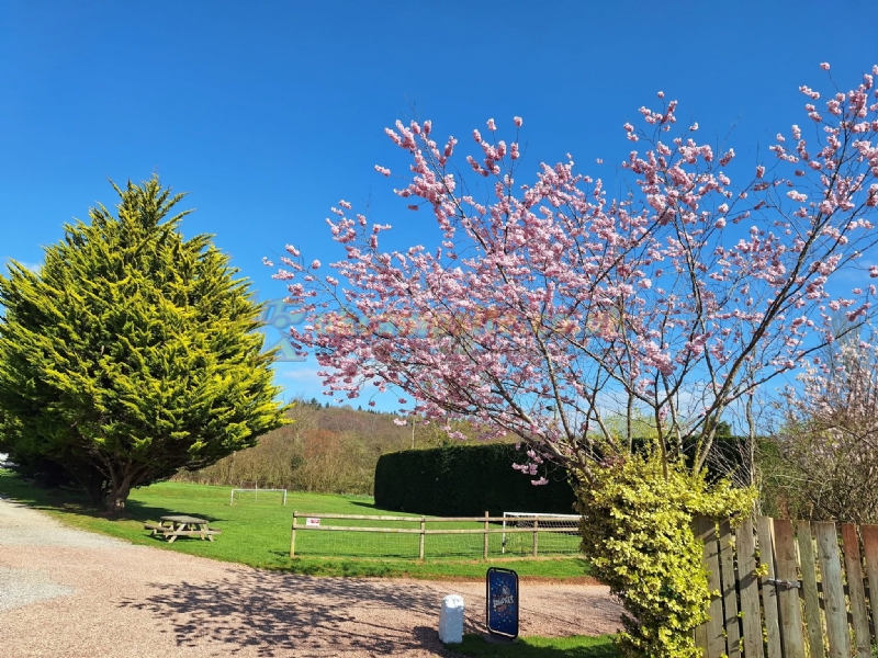 Haywood Farm Caravan And Camping Park