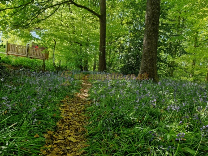 Haywood Farm Caravan And Camping Park