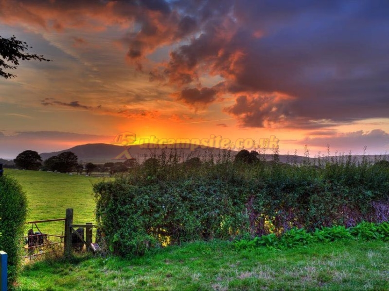 Tynllwyn Caravan And Camping Park