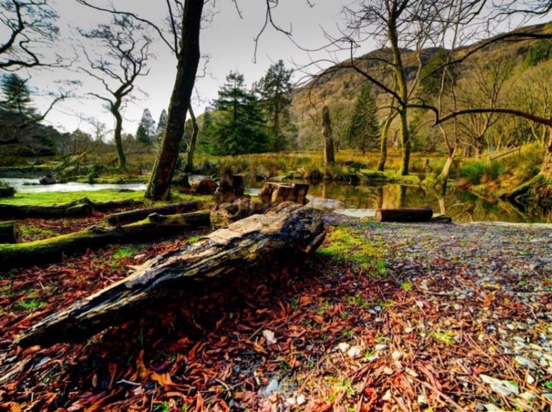 Tynllwyn Caravan And Camping Park