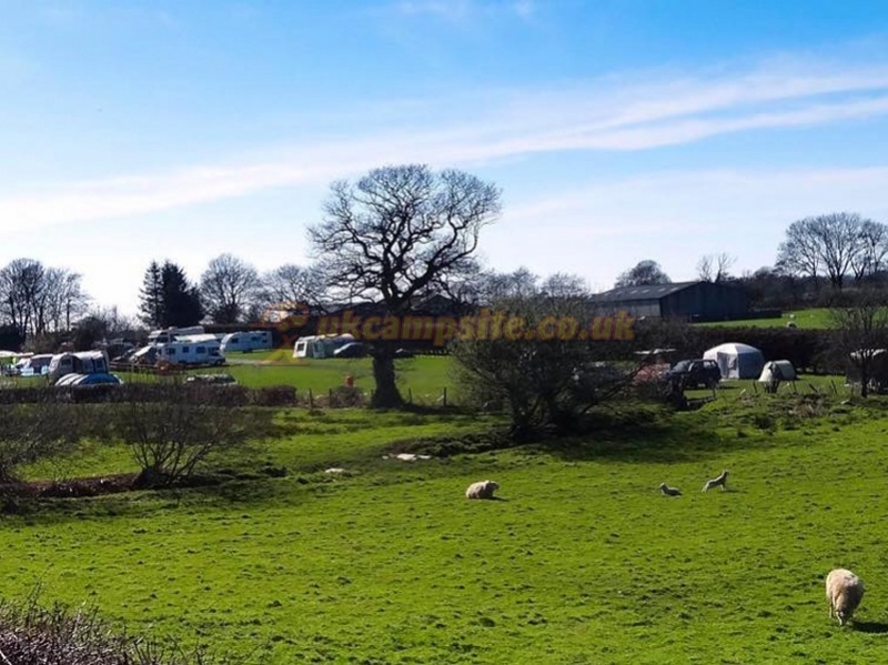 Tynllwyn Caravan And Camping Park