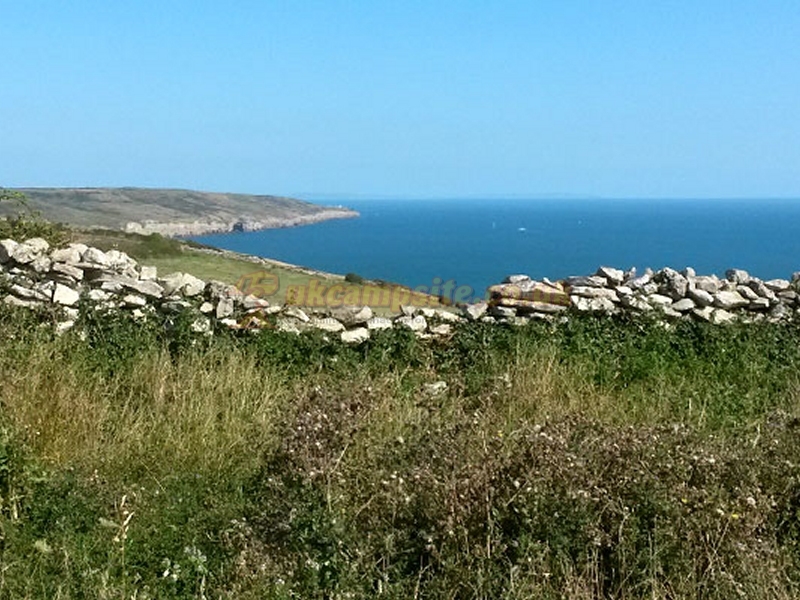Acton Field Camping Site