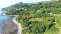 Treheli Farm Campsite