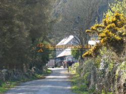 Treheli Farm Campsite