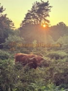 Greenway Farm Caravan And Camping Site