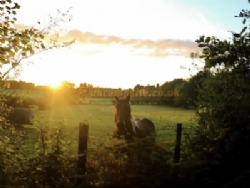 Greenway Farm Caravan And Camping Site