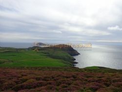 Mynydd Mawr Caravan And Camping Site