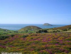 Mynydd Mawr Caravan And Camping Site