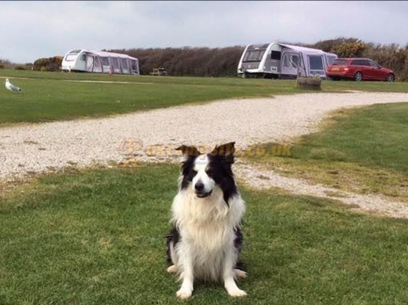 Blue Hills Touring And Camping Park