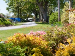 Llys Derwen Caravan And Camping Site