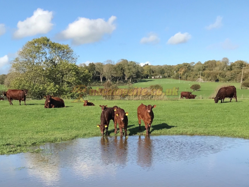 Ecclesden Farm Caravan And Camping Site