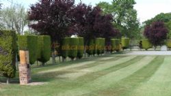Rosedale Caravan Park