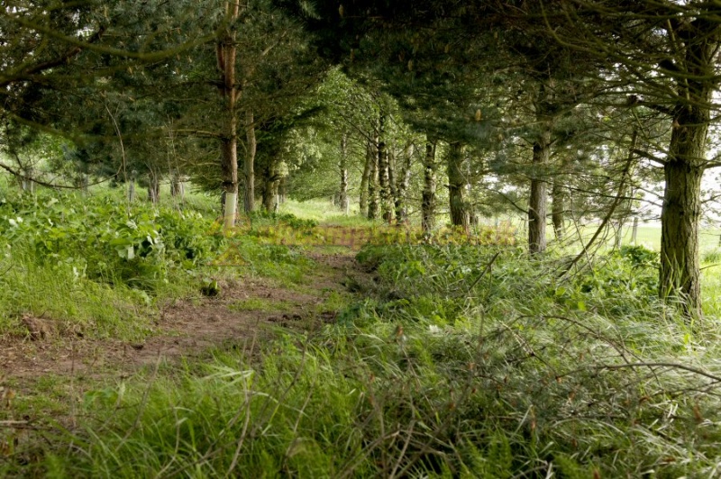 Foresterseat Caravan Park