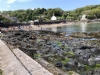 Tregroes Caravan Camping And Glamping Tregroes Caravan Camping And Glamping