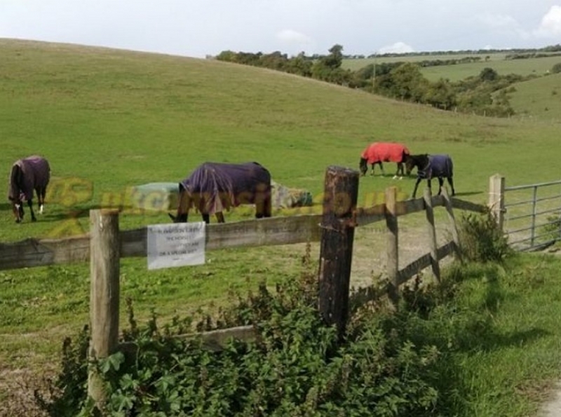 Alfriston Camping Park
